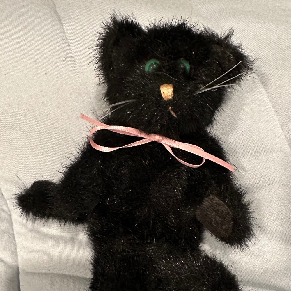 Boyd’s Black Cat